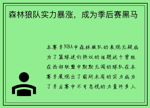 森林狼队实力暴涨，成为季后赛黑马