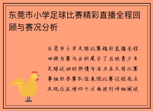 东莞市小学足球比赛精彩直播全程回顾与赛况分析